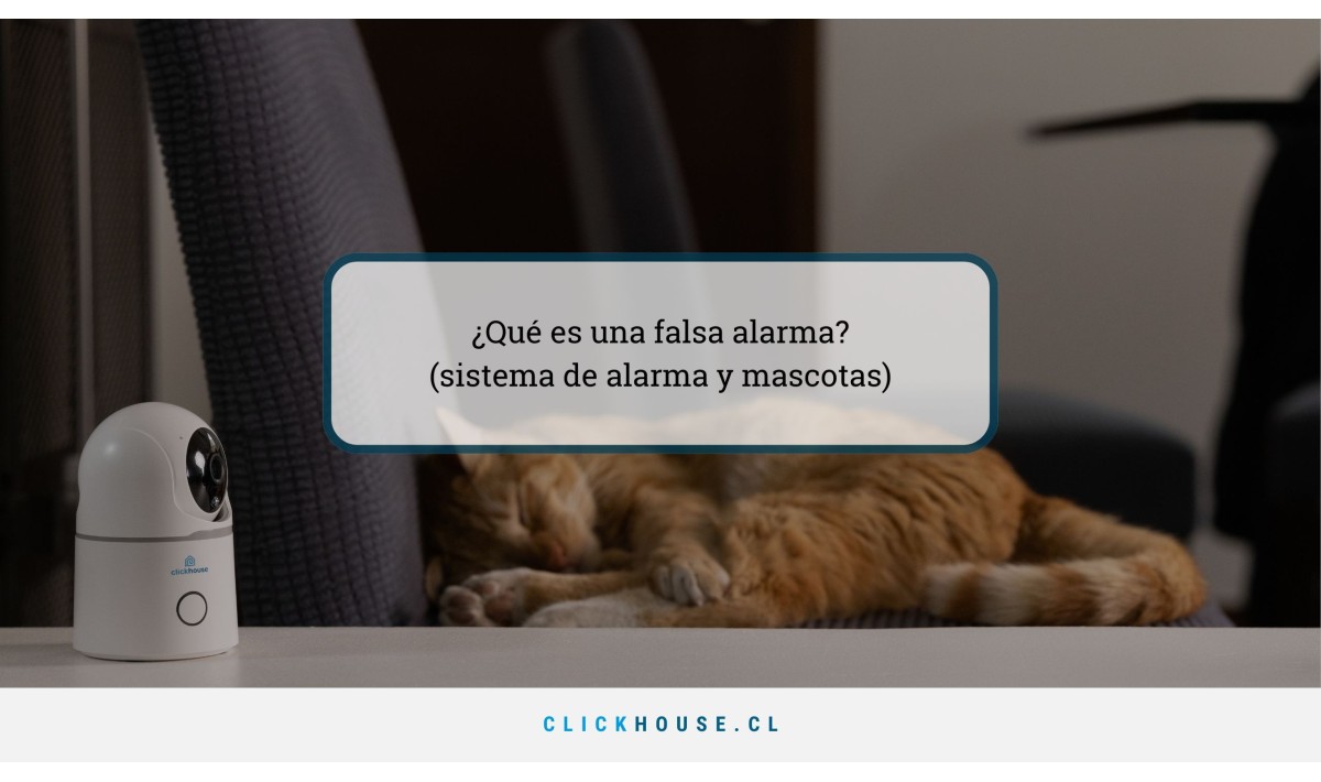 ¿Qué es una falsa alarma? (sistema de alarma y mascotas)